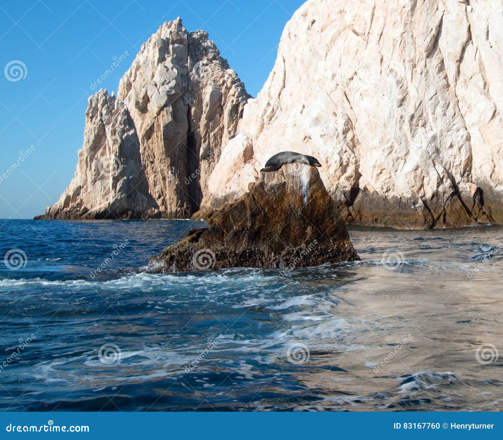 california sea lion resting on Ã¢â¬Åthe pointÃ¢â¬Â or Ã¢â¬Åpinnacle of lands endÃ¢â¬Â of los arcos in cabo san lucas in baja mexico